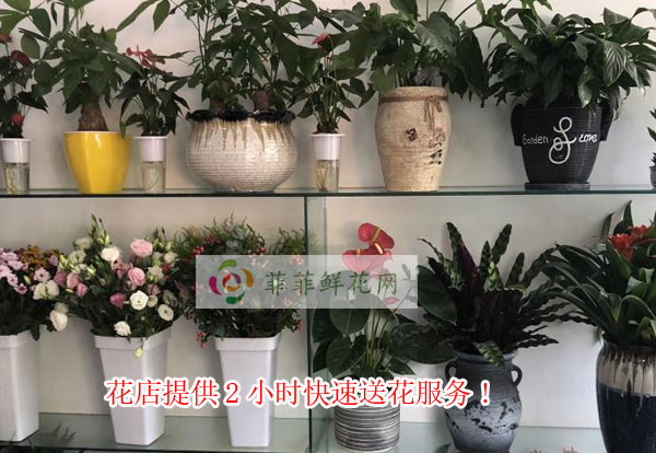 镇江扬中花店提供镇江扬中2小时快速送花服务